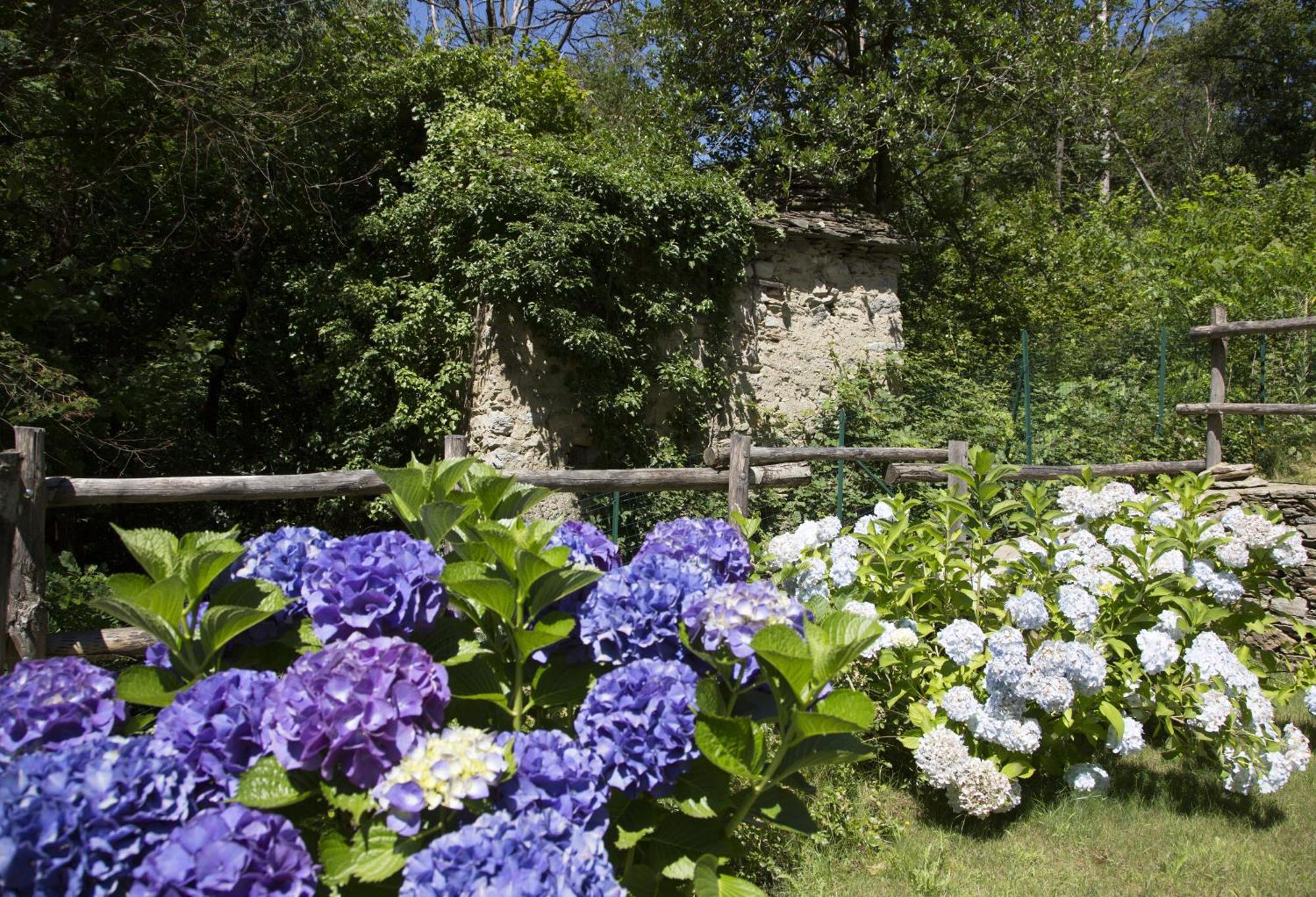 Agriturismo Rossolampone San Bernardino Verbano Rum bild